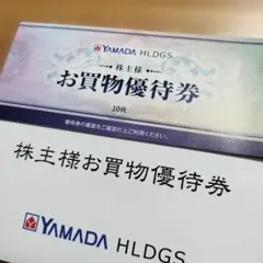 YAMADA HLDGS.　株主優待　5000円分