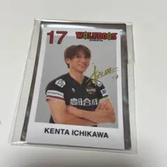 ウルフドッグス名古屋 市川健太選手 スプラッシュシート特典