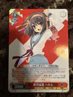 2025年最新】猪突猛進 ハルヒの人気アイテム - メルカリ