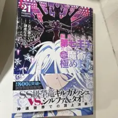 転生したら第七王子だったので気ままに魔術を極めます　21