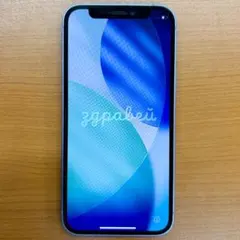 さ*ん様 動作確認済み iPhone 12 mini 64GB ID 10N41