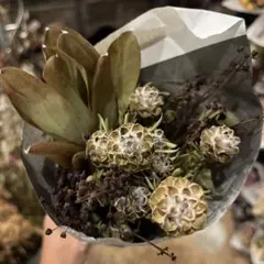 Item thumbnail for item 57d71393-65de-43d2-87eb-7ae383d76e0a