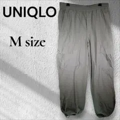 Item thumbnail for item a34c0851-8cfa-4892-892c-df5516588c36