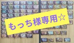 もっち様専用☆