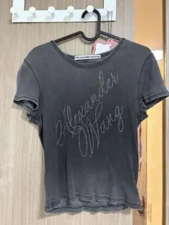 alexanderwang グレー Tシャツのサムネイル