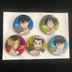ハイキュー!!　バラエティバッグ 2019 缶バッジ ☆JUMP SHOP最新グッズ情報☆ 『ハイキュー‼︎』 バラエティバッグ
