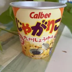 じゃがりこのから