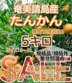 佐藤みつき様専用画面　タンカン 　5kg