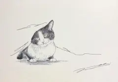 猫の絵　原画