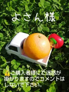 【よさん様専用】11愛媛県産 ゆず 本柚子 10kg