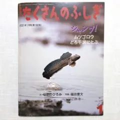 月刊たくさんのふしぎ 2001年1月号（190号）