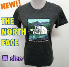 レア‼︎希少‼︎日本未発売★ノースフェイス　シティランドマークTシャツ　コロラド