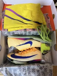 Item thumbnail for item 2a878886-113b-4180-877b-a5874d95ba99