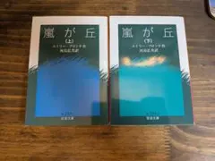 嵐が丘 上下2冊セット エミリー・ブロンテ 河島弘美訳 岩波文庫