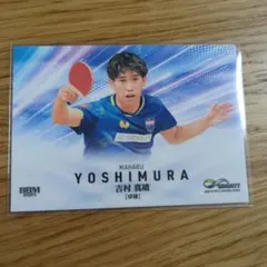 Item thumbnail for item da9a91d5-8ac3-4e91-a51d-67a77afb9d3a