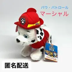 パウ・パトロール マスコット NEW ぬいぐるみ