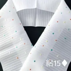半襟 夏 絽15 ♦︎ 刺繍入り 白 × 水玉 　※新品のサムネイル