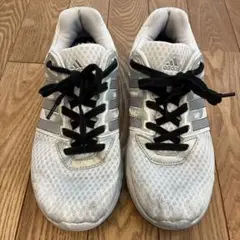 Item thumbnail for item e8b7d85e-482c-4a4b-9be9-6adb05acb7b6