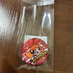 パワーパフガールズ 刺繍缶バッジビスケット ブロッサム