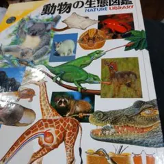 Item thumbnail for item 99e690c0-1558-4f80-9891-f78b436a99e1