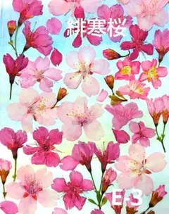 Item thumbnail for item 52a0ae32-c41c-4c33-8bf9-5452411492ec