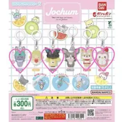 Jochum めじるしアクセサリー 2