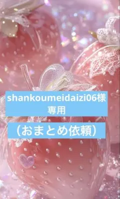 shankoumeidaizi06様 13点 【おまとめ依頼2,400円引☺︎】