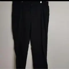 Dickies ダブルニー　w40 l30