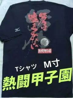 公式】高校野球 習志野高校 応援Tシャツ サイズ XXL 甲子園【美品