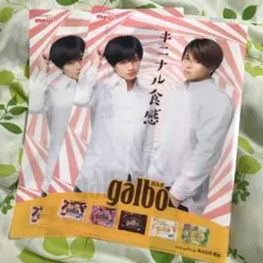 菊池風磨 中島健人 クリアファイル