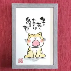 マリモMY様 リクエスト 3点 まとめ商品