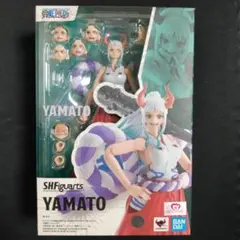 2025年最新】s.h.フィギュアーツ ワンピースの人気アイテム - メルカリ