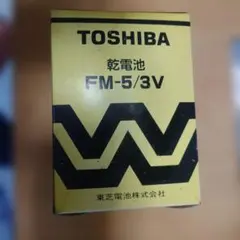 希少激レア 新品VICTOR FMワイヤレスマイクロフォン WM-5 - メルカリ