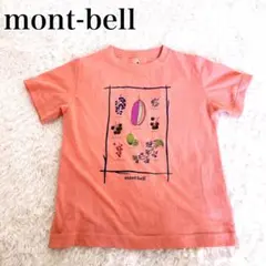 mont-bell ウィックロン　フルーツ果実イラスト Tシャツ　120