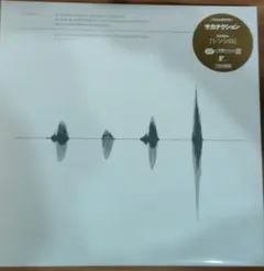 2026年最新】アナログ サカナクションの人気アイテム - メルカリ