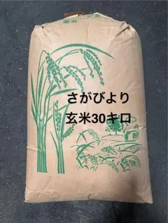 多古米 コシヒカリ 30kg 玄米（必ず商品説明をご覧ください） 多古米 コシヒカリ 30kg 玄米（必ず商品説明をご覧ください） - メルカリ