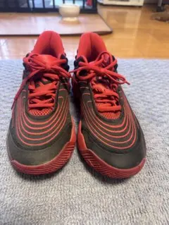 NIKEシューズ 赤 値下げ可能です！