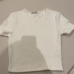 ZARA 半袖　Sサイズ