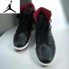 美品28.5cm エアジョーダン1 レトロ ハイ OG ブラッドライン NIKE