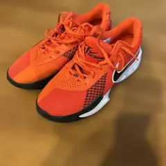 Item thumbnail for item e3790512-ccf4-45f9-936c-f39b412c84ab