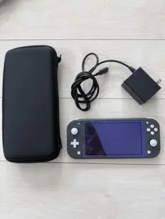 Nintendo Switch lite ニンテンドースイッチライト グレー