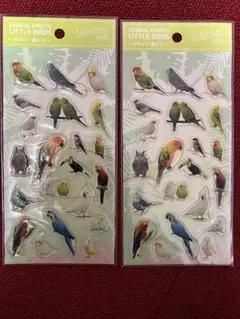 インコ　オウム　ぷっくりシールセット