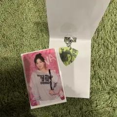 TWICE ランダム ピックキーホルダー ジョンヨン