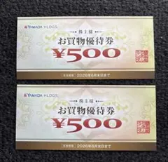YAMADA HLDGS. お買物優待券 ¥500×2
