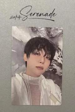 SEVENTEEN D×S Serenade スングァン ECHO トレカ