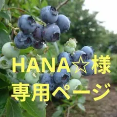 HANA☆様専用ページのサムネイル