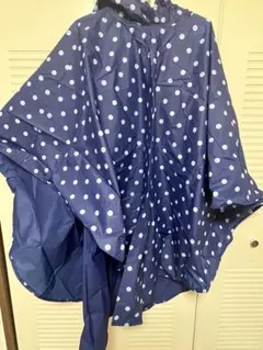 Item thumbnail for item efcff6e7-162a-4dc1-95f2-b66ff748f4ad