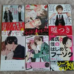 BL 6冊 セット まとめ売り 初版 帯付 送料込み