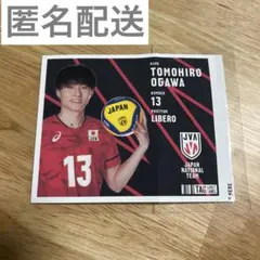 【新品未開封】小川智大 ぬいぐるみ ステッカー セット オフィシャルサポーターズクラブ限定グッズの予約販売開始！