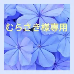 むらさき様専用